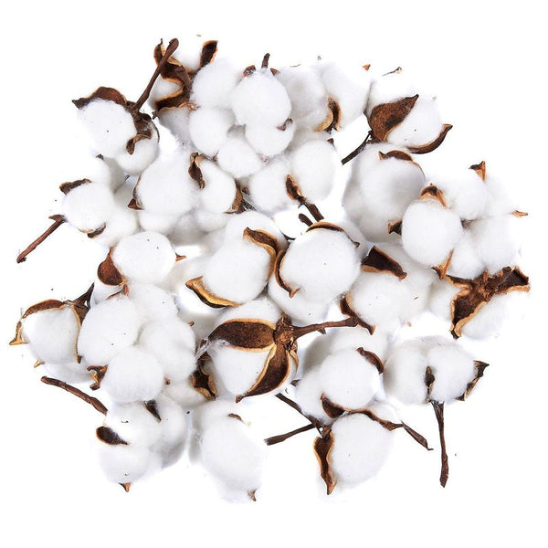 Cotton Balls Large - 96-5699