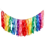 Sparkle and Bash Rainbow Tassel Garland - 10 Ft Hanging Tassel Fringe Party Fringe - Vibrant Rainbow Party Decoration - Bi...