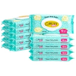 BLUE PANDA Flushable Butt Wipes - Aloe Vera Comfort for Gentle Cleansing - Scented Flushable Wipes for Adults - Travel Ess...