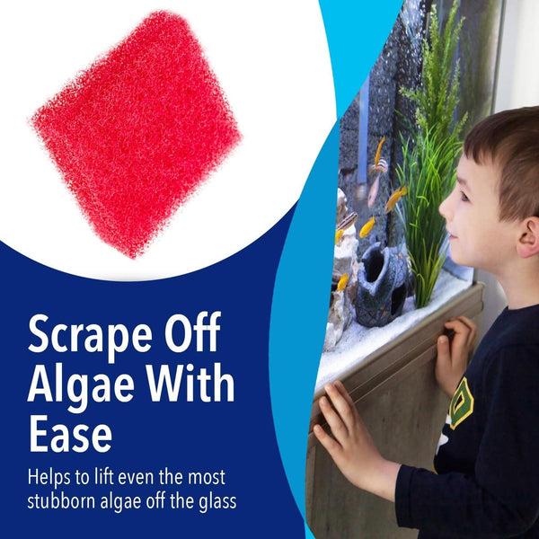 Evergreen Pet Supplies Aquarium Glass Cleaner Sponge - Non-Scratch Aquarium Glass Scrubber - Durable Tank Sponge Cleaner - Ergonomic Fish Tank Pad - Pack of 4, Red, 3.25 in x 3.25 in x 1 in - image 1