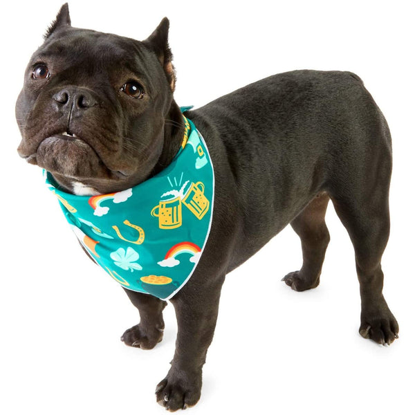 Zodaca St Patricks Bandana Set for Dogs, Irish Dog Costumes Accessories (Green, 6 Pack) - image 1