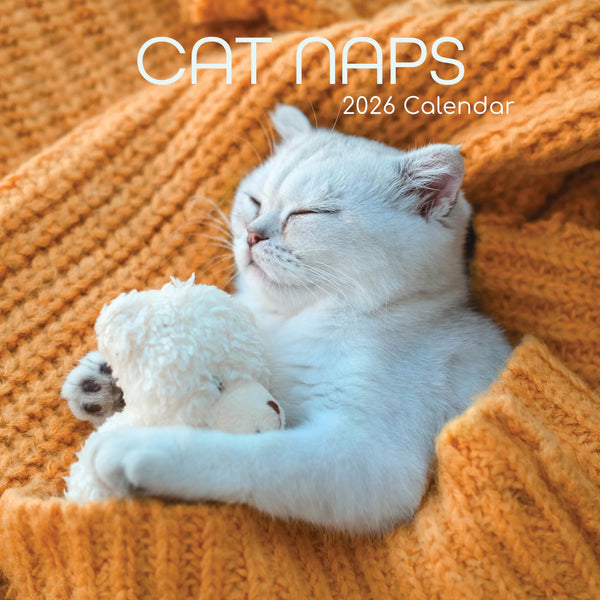 The Gifted Stationery 16-Month Square Wall Calendar - Home & Office Planning with 2026 Wall Planner - Cat Naps Theme with 2026 Calendar & Planner Sticker Set - 12x12 in - image 1