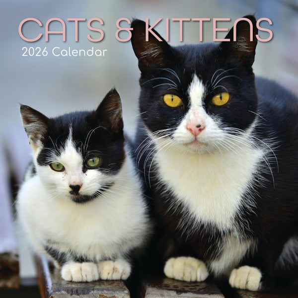 The Gifted Stationery 2026 Square Wall Planner - Cat & Kitten Calendar 2026 - 180 Sticker Reminders & Calendar with Stickers - Hanging 16-Month Square Wall Planner - Sep 2025-Dec 2026, 12 x 12 in - image 1