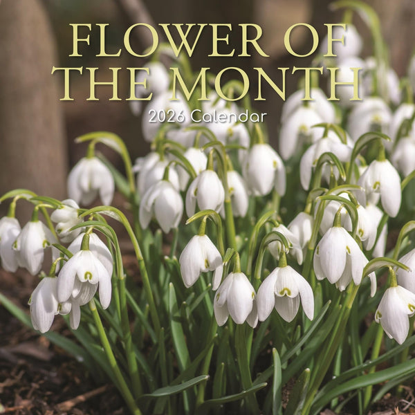 The Gifted Stationery 2026 Square Wall Calendar, Flower of the Month, 16-Month Floral Theme Hanging Calendar with 180 Reminder Stickers, Month Planner for Home, or Creative Spaces, 12x12 In - image 1