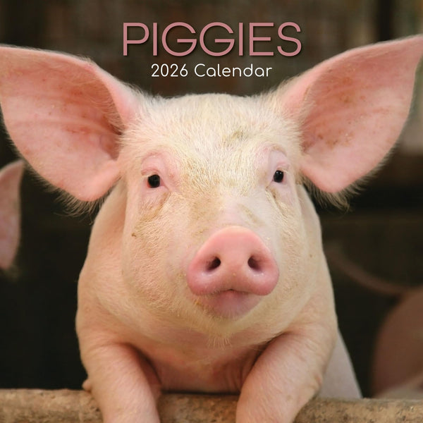 The Gifted Stationery Piggies 2026 Square Wall Calendar - 16-Month Span 2026 - 2026 Calendar With 180 Reminder Stickers - Hanging 12x12 Wall Planner - Sept 2025-Dec 2026 - image 1