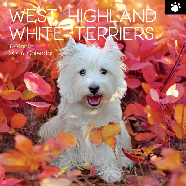 The Gifted Stationery 2026 Square Wall Calendar - 16-Month Wall Planner with Stickers 2026 - Hanging Big Grid Planner - West Highland White Terrier Animal Calendar - 12x12 in - image 1