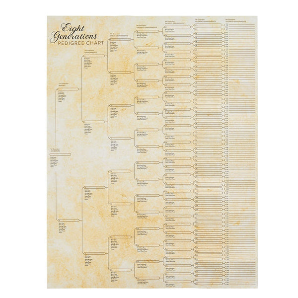 Okuna Outpost Family Tree Charts to Fill in - 8 Generation Genealogy Charts with 255 Name Spaces - Blank Family Tree Posters on Poster Paper for Framing - Pack of 15, 17 x 22 In, Off-White - image 1