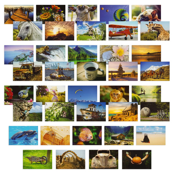 Best Paper Greetings 4x6 Blank Postcard Set - Photo Postcards for Mailing - Pack of 40, 250gsm, Multi, Wild Animals - image 1