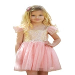Butterfly Craze Girls Sparkly Birthday Dress - 6Y, Pink Tutu - Princess Ballerina Party Outfit & Sparkly Tutu Dress