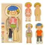 Kidzlane Boy Wooden My Body Puzzle for Toddlers & Kids - 29 Piece Boys Anatomy Puzzle Kid Play Set - Anatomy for Kids, Ske...