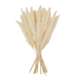 30 Pack Dried White Pampas Grass for Vase, Wedding, Rustic-Style Farmhouse Decor, Boho-Themed Home Decor (17 In)