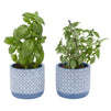 2 Pack 5 Inch Indoor Plant Pots with Drainage Hole, Blue Terracotta Concrete Succulent Planters