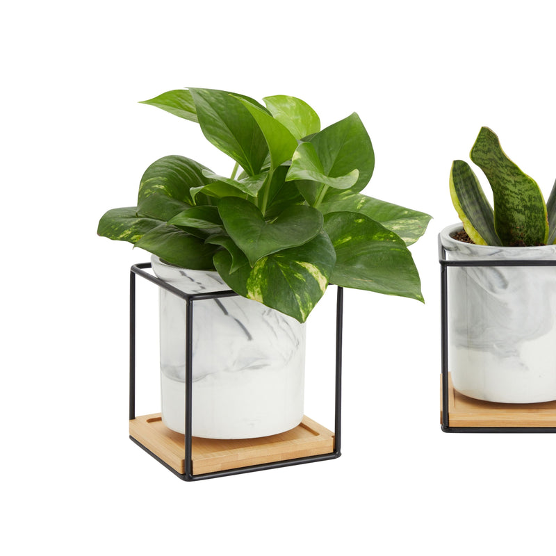 2 Pack Small Marble Ceramic Planter with Stand, Drainage Hole, and Saucer for Indoor Plants, Succulents (5x5 Inches)