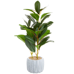 Small Artificial Ficus Plant Potted in Small Gray Cement Planter for Home Decor (11.8 In)