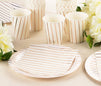 Rose Gold Stripe Design Party Bundle, Includes Plates, Napkins, and Cups (24 Guests, 72 Pieces)