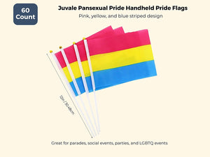 Pansexual Pride Flag, LGBTQ Handheld Stick Flags (12 In, 60 Pack)