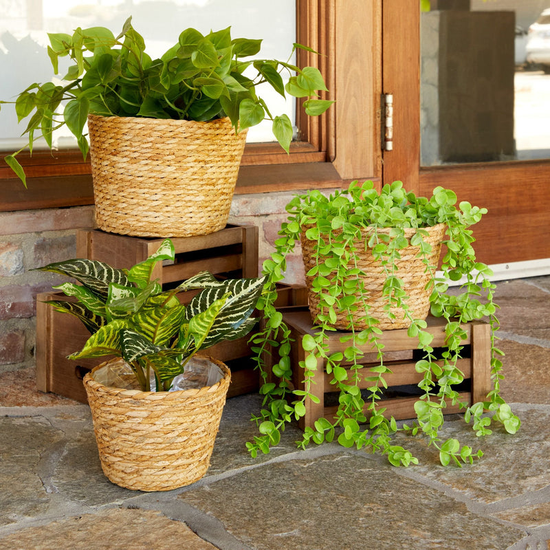 Seagrass Indoor Planter Set with Plastic Lining, 3 Small Woven Wicker Baskets for Plants, Flower (3 Sizes)