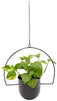 Black Metal Hanging Planter (12 x 25.75 Inches, 2 Pack)