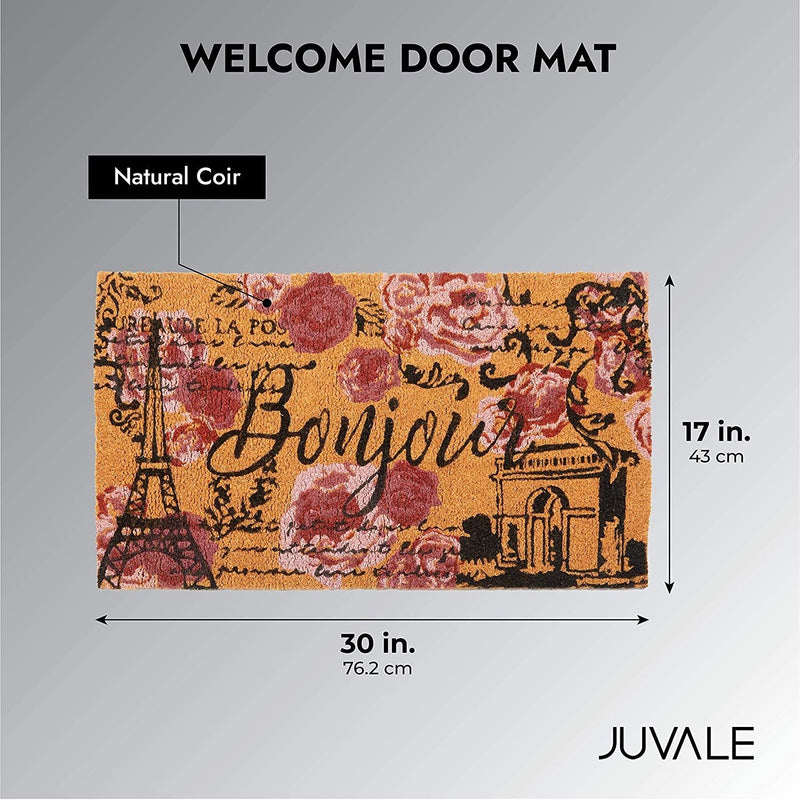 Eiffel Tower Welcome Door Mat with Non Slip Backing, Bonjour Home Paris Decor (Coir, 17x30 In)