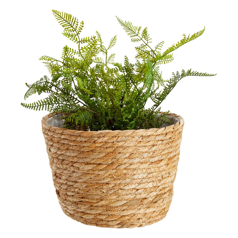 Seagrass Indoor Planter Set with Plastic Lining, 3 Small Woven Wicker Baskets for Plants, Flower (3 Sizes)