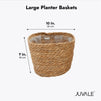 Seagrass Indoor Planter Set with Plastic Lining, 3 Small Woven Wicker Baskets for Plants, Flower (3 Sizes)