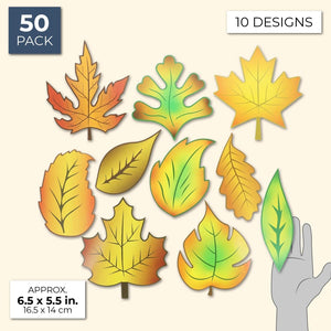 Bulletin Board Fall Leaf Cutouts (50 Count), 10 Designs