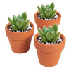 Terra Cotta Pots with Drainage Holes for Plants (2.6 in, 10 Pack)