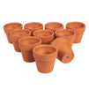 Terra Cotta Pots with Drainage Holes for Plants (2.6 in, 10 Pack)