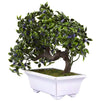 Artificial Bonsai Tree - Fake Plant Decoration, Potted Artificial House Plants for Home DecorIndoor, Ficus Bonsai Tree Plant for Decoration, Desktop Display, Zen Garden Decor- 10 x 6 x 8 Inches