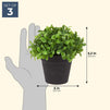 Mini Artificial Potted Plants for Home Decor (5 x 5.2 In, 3 Pack)