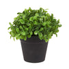 Mini Artificial Potted Plants for Home Decor (5 x 5.2 In, 3 Pack)