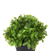 Mini Artificial Potted Plants for Home Decor (5 x 5.2 In, 3 Pack)