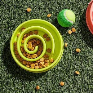 Interactive Dog Bowl, Spiral Slow Feeder Pet Dish (Pink and Green)