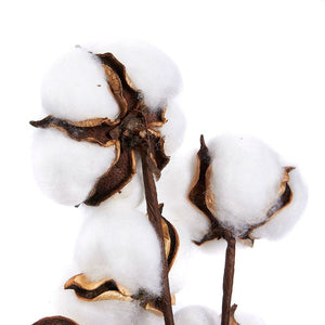 Cotton Flowers, Farmhouse Decor (16 In, 4-Pack)