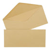 60 Pack #12 Kraft Business Envelopes in Bulk for Letter Mailing, 4 3/4 x 11 Inches, Brown