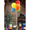 Balloon Weights with Foil for Birthday Party (2.5 x 6.5 In, 6 Colors, 12 Pack)