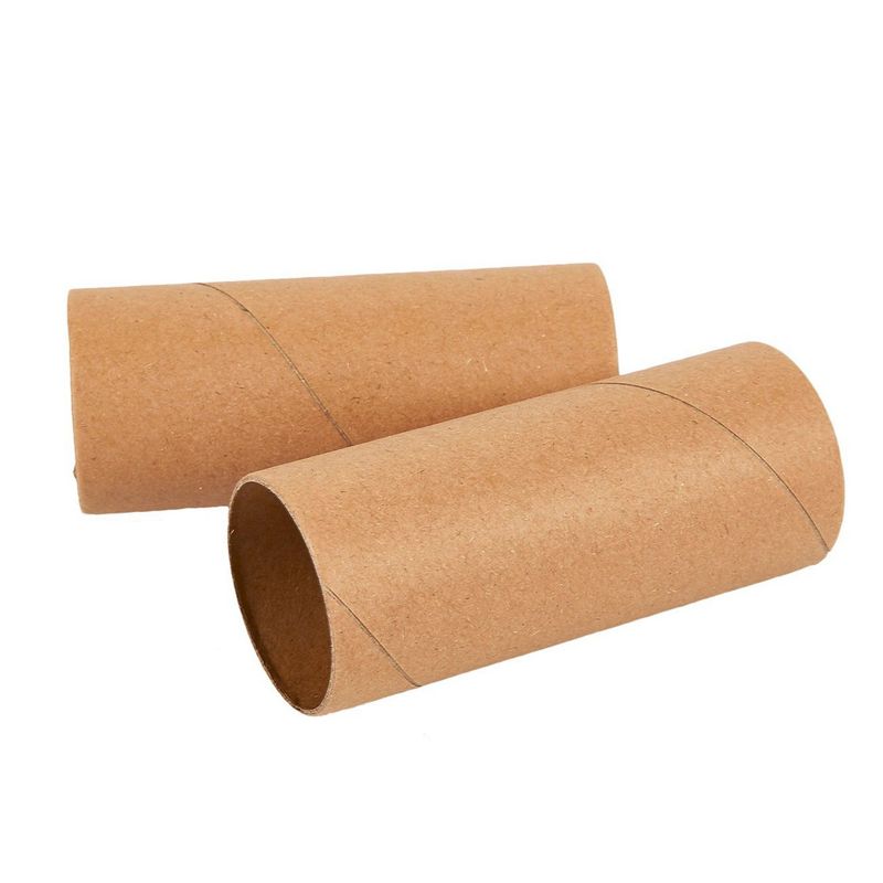 24-Pack Cardboard Tubes Craft Rolls Empty Toilet Paper for Kid Art, Brown 3.9