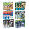 Dog Spiral Notepad, Puppy Party Supplies (55 Sheets, 24-Pack)