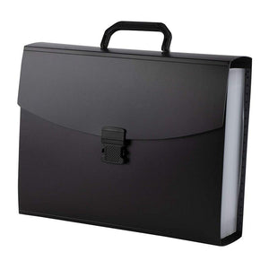 Accordian File Organizer with Handle, 25 Pockets (Black, 10 x 10 x 3.1 Inches)