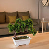 Artificial Bonsai Tree - Fake Plant Decoration, Potted Artificial House Plants, Japanese Pine Bonsai Plant, for Decoration, Desktop Display, Zen Garden Décor - 10.3 x 5 x 9.4 Inches