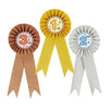 24-Pack Award Ribbons - Participation Decorations, Rosette Ribbons, 1st, 2nd, and 3rd Place Recognition Awards for Spelling Bees, Science Fairs, Talent Shows, Gold, Silver, Bronze