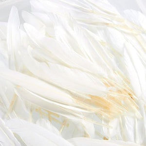 100 Piece Goose Feathers, Natural Feathers for Crafts, DIY, Wedding, Bridal Shower, and Party Decorations