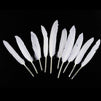 100 Piece Goose Feathers, Natural Feathers for Crafts, DIY, Wedding, Bridal Shower, and Party Decorations