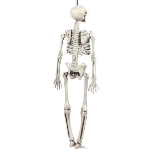 Halloween Decoration Hanging Skeleton Set (5 x 1.7 x 15.2 In, 3 Pack)
