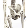 Halloween Decoration Hanging Skeleton Set (5 x 1.7 x 15.2 In, 3 Pack)