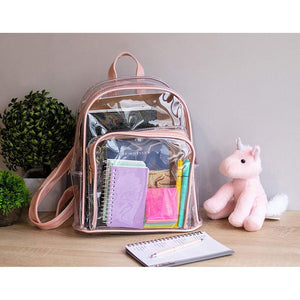 Rose gold 2024 clear backpack