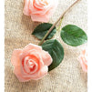 Artificial Rose Flower Heads for Weddings, Valentine's, DIY Crafts (3 in, Peach, 100 Pack)