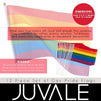 Mini Rainbow Flags Gay Pride, Handheld Stick Flags (15.75 In, 12 Pack)