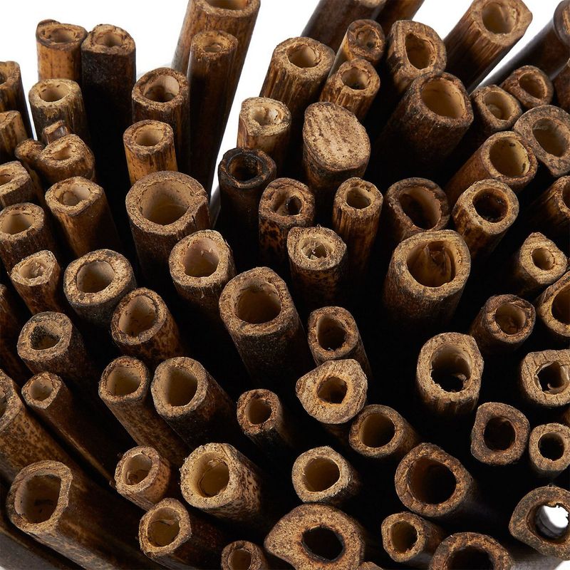  100Pcs Strong Natural Bamboo Sticks, Wooden Craft