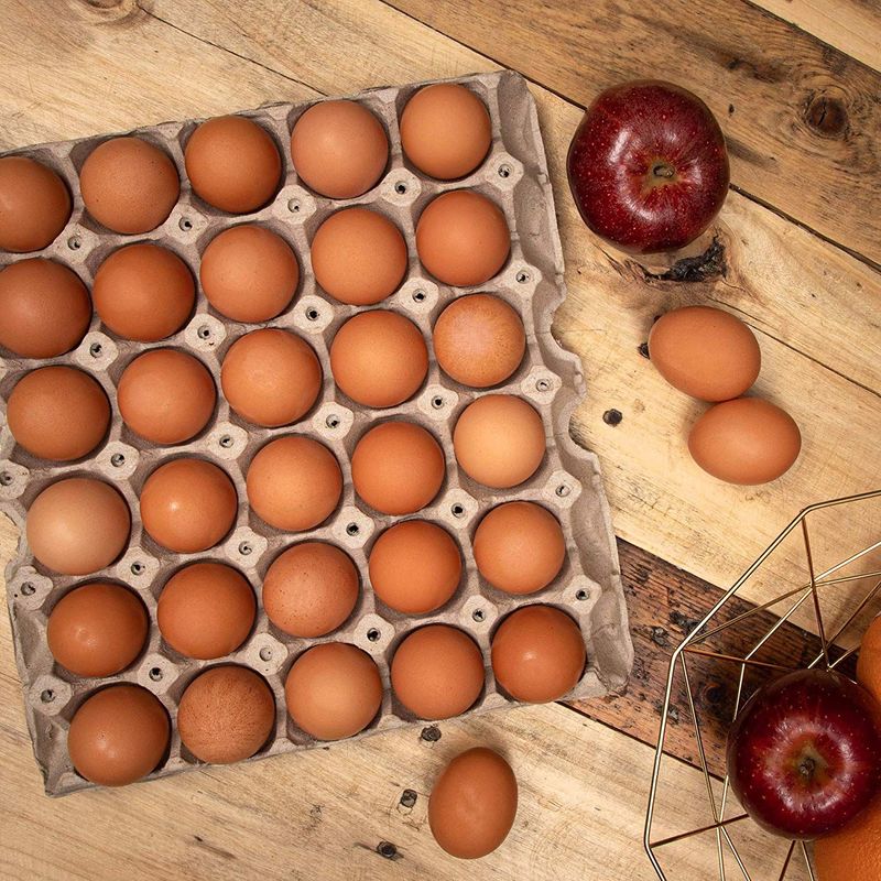Juvale Flat Paper 30-Count Egg Carton Trays (20 Pack)